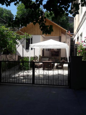 Гостиница Ira & Vaso's Guest House  Борджоми